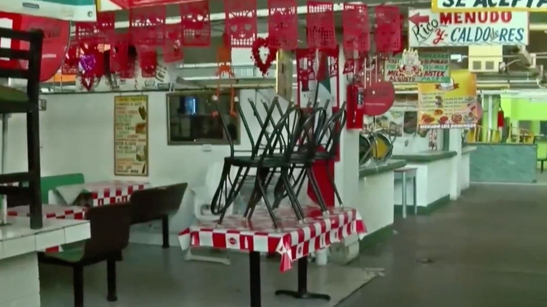 Alerta por Rickettsia en Juárez: Fumigan Mercado Hidalgo y Advierten por Falsos Fumigadores