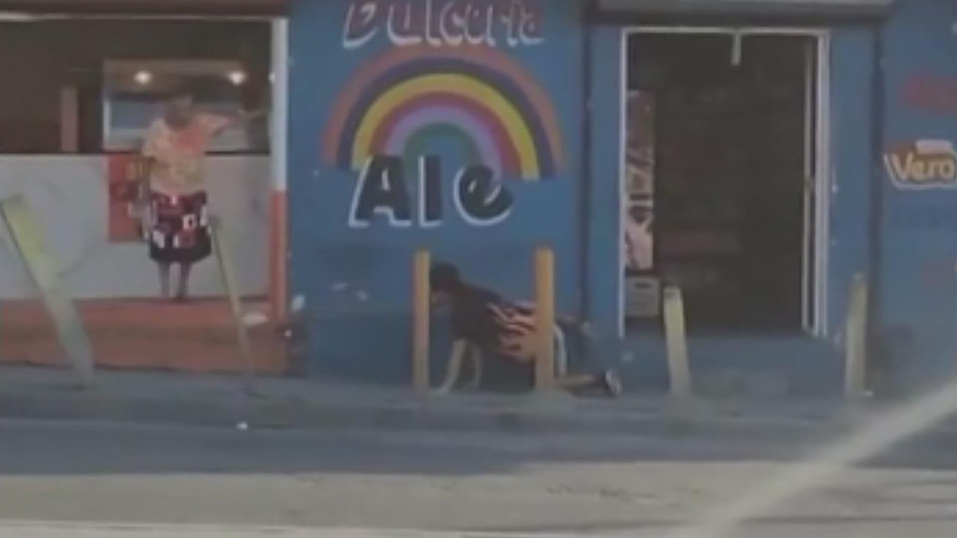 VIRAL: Señora Asusta a un Perro "Therian" con Cubetazo de Agua