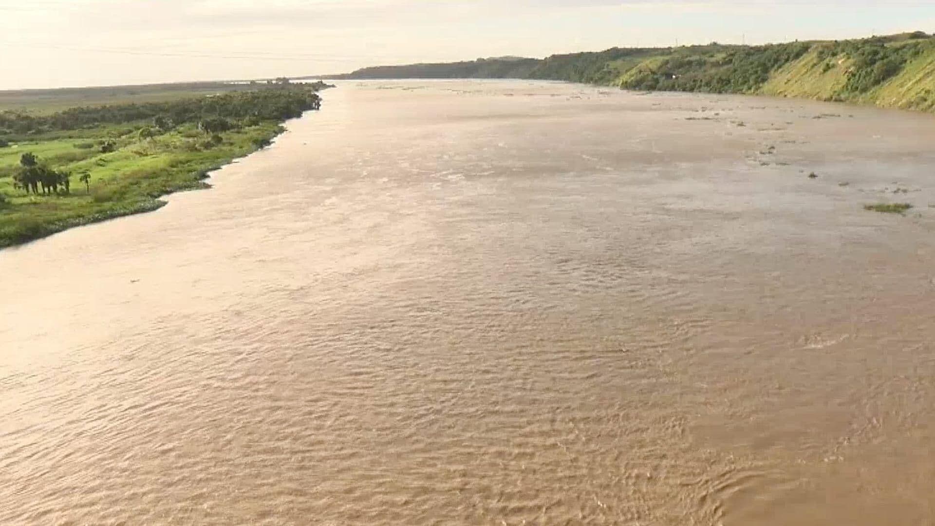 Libres de Parásitos las Mojarras del Río Papaloapan: Instituto de Pesquería de la UV