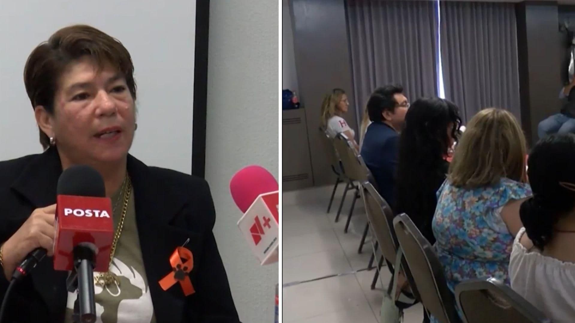 Animalistas Solicitan Esclarecer Caso de Perrita “Negrita” de Kanasín