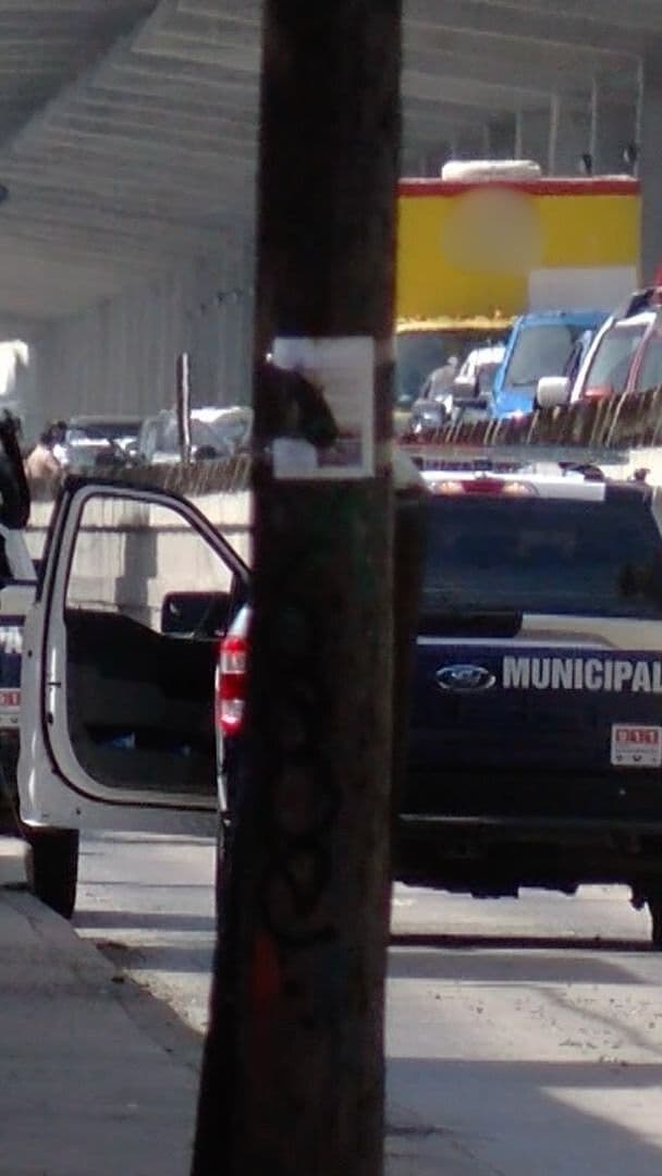 Cover de programa de N+