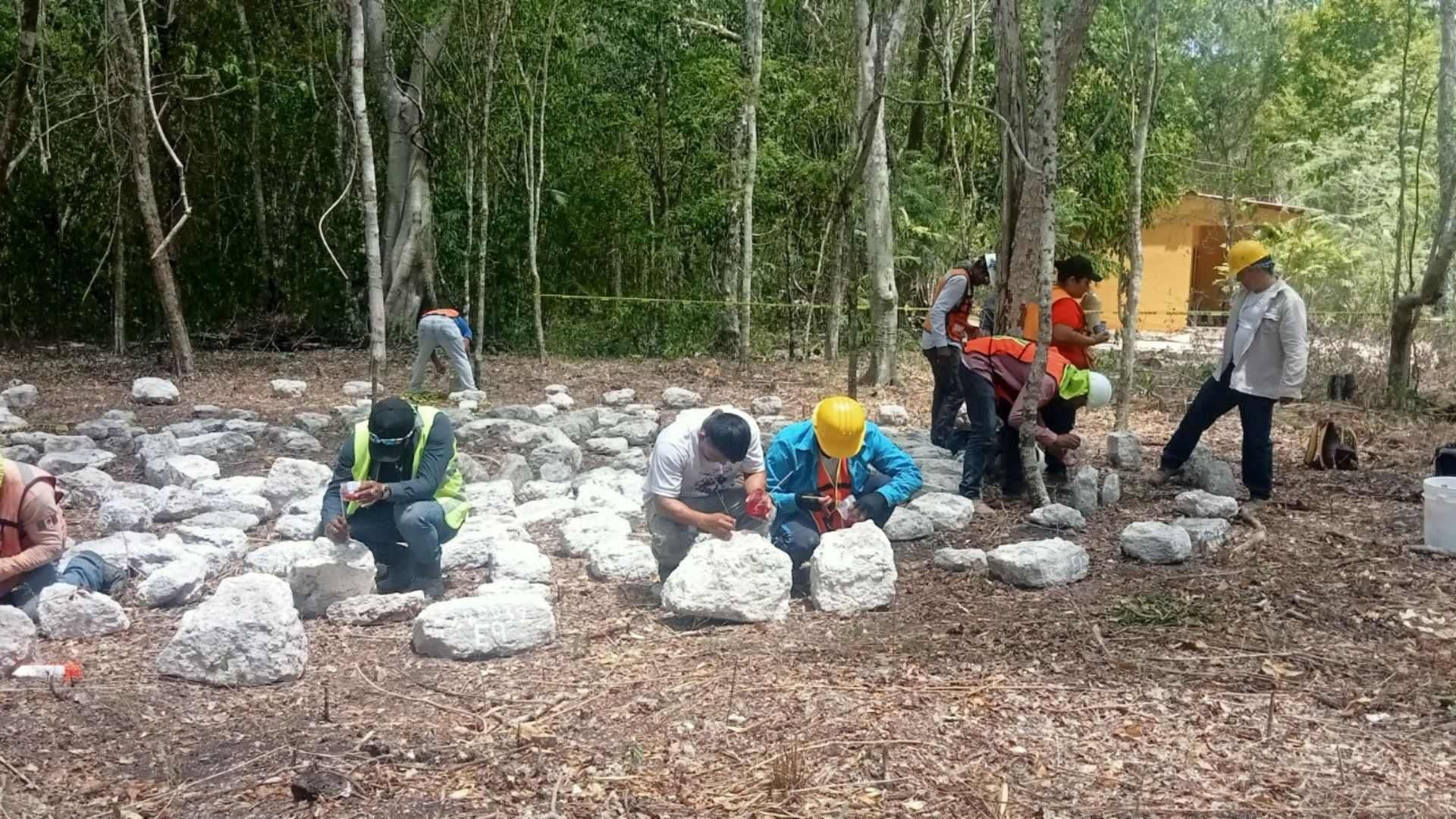 INAH Anuncia Traslado de Estructuras Prehispánicas Encontradas por Tren Maya