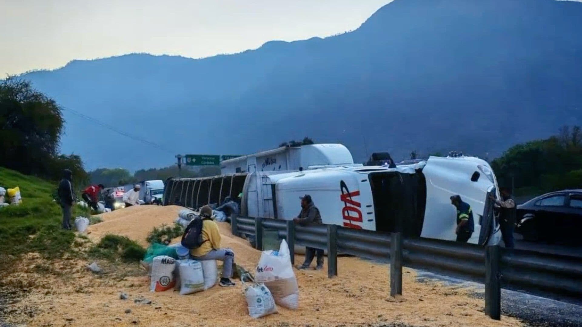 Vuelca Tráiler Cargado de Maíz en la Autopista Orizaba-Puebla; Robaron Carga