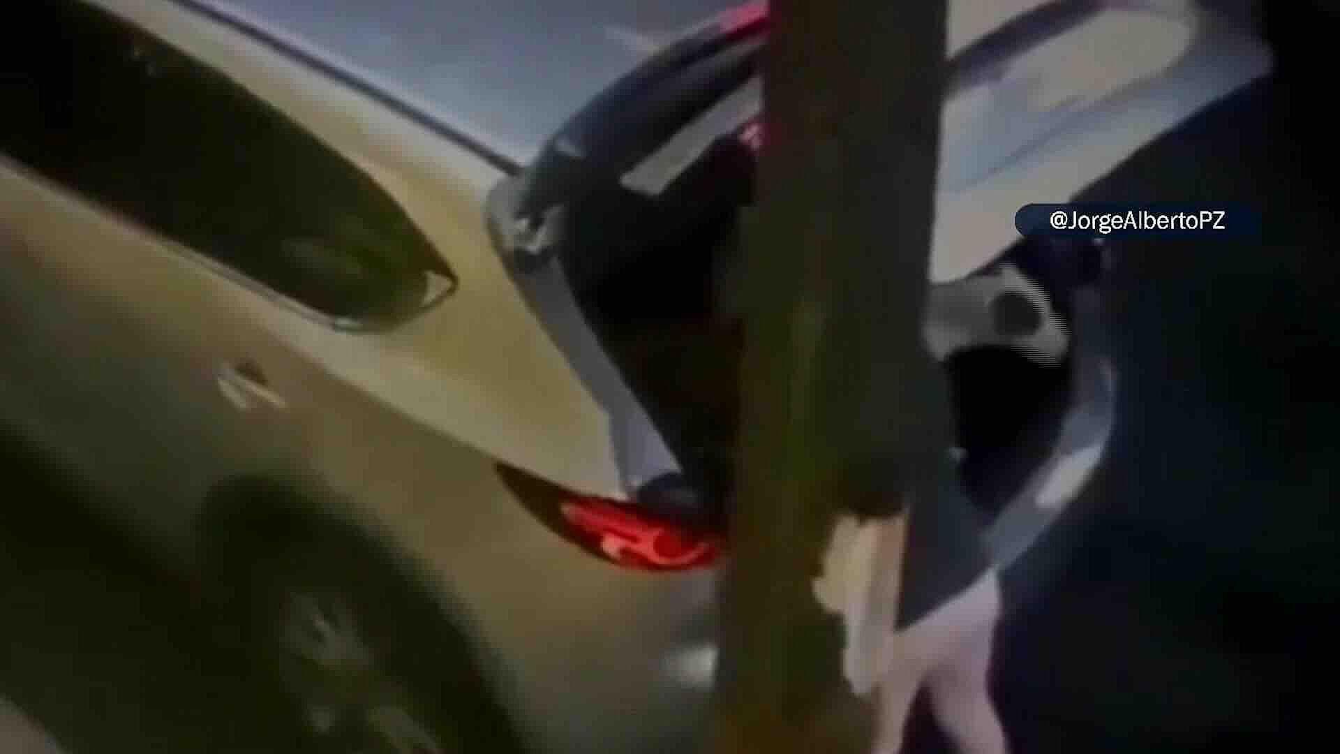 Mujer Abandona a Perro en Calle Coquimbo, Colonia Lindavista, Gustavo A. Madero