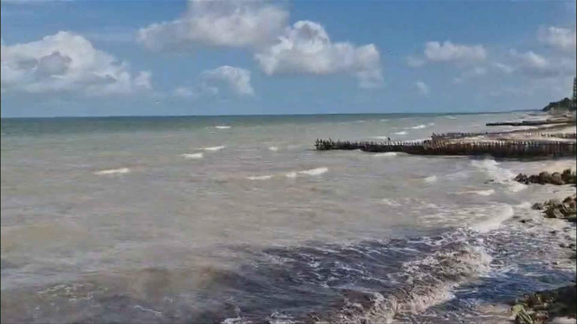 Despliegan Brigadas de Limpieza en Playas y Ciénegas de Puerto Progreso, Yucatán