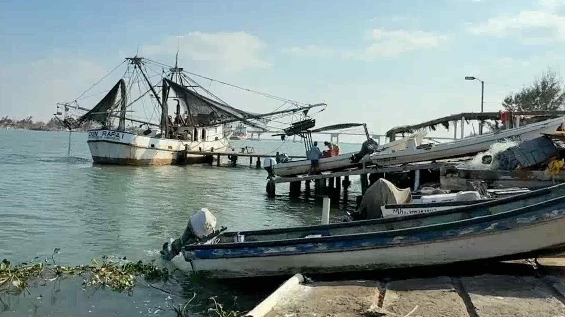 Pescadores Reportan Crisis en la Captura de Camarón en las Costas de Alvarado, Veracruz