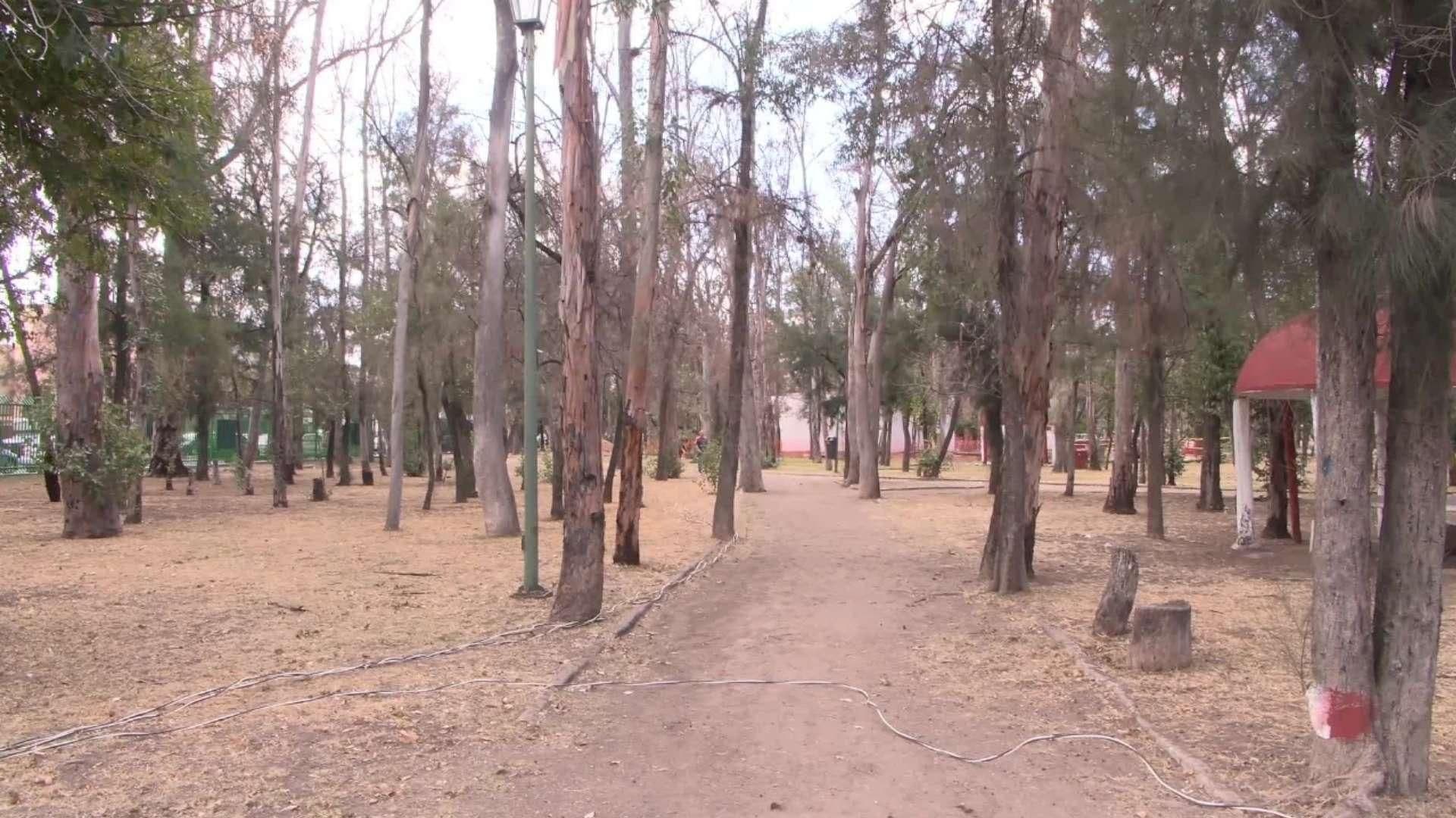 San Luis Pierde sus Jardines por Falta de Lluvias y Agua