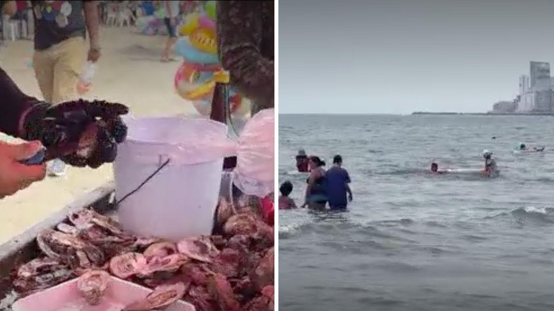 Precios Accesibles en Alimentos en Playas Durante Vacaciones de Semana Santa en Veracruz