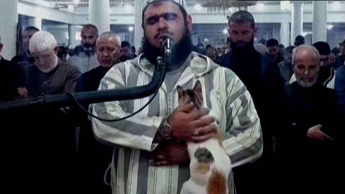 Mishi Interrumpe a Jeque en Plena Oración del Ramadán en Argelia