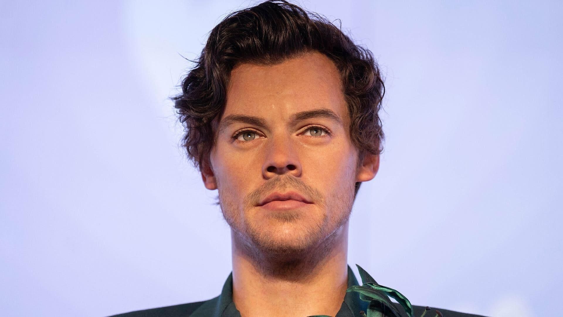 ¿Dónde Está Harry Styles? Fans Revelan Misterio | VIDEO