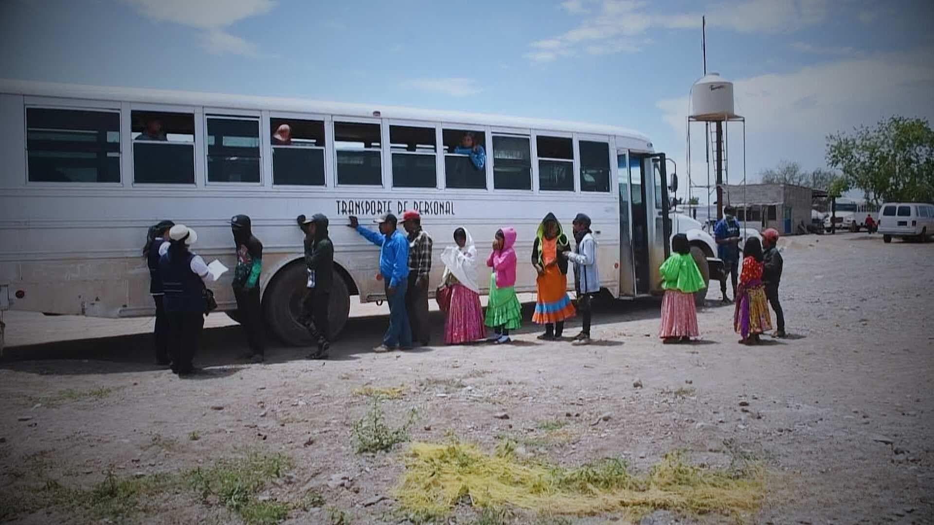 Vacunan Contra el Sarampión a Habitantes de la Comunidad La Esperanza, Chihuahua