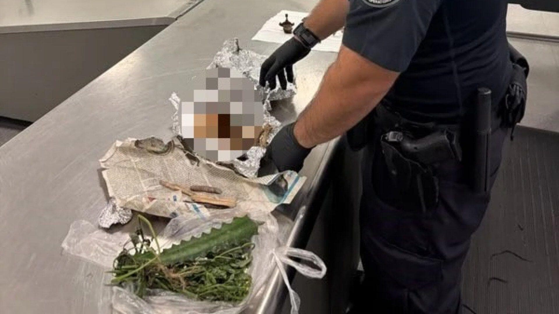 Hallan Restos Humanos en Maleta en Aeropuerto Internacional de Tampa, Florida
