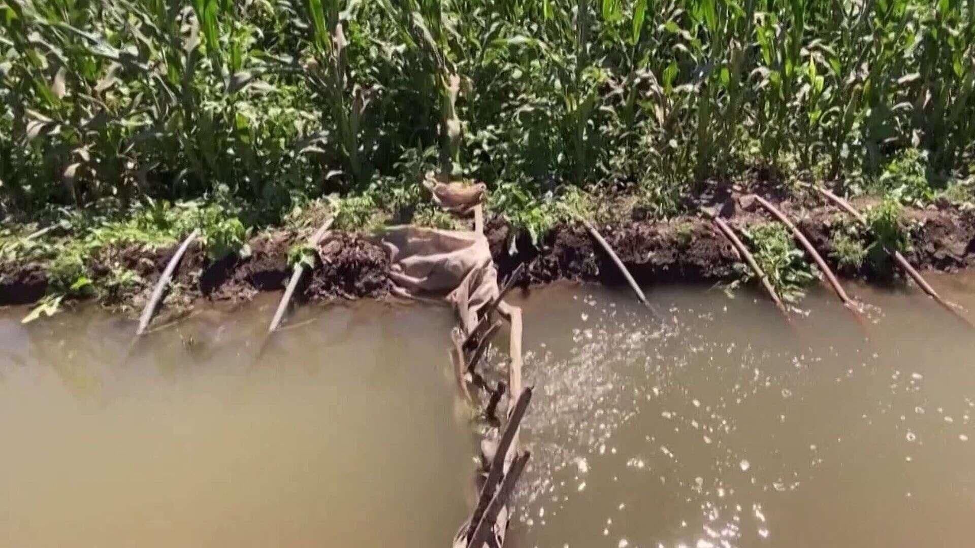 Hallan a Hombre Sin Vida en Laguna de Aguas Negras en Zona Rural de Hermosillo