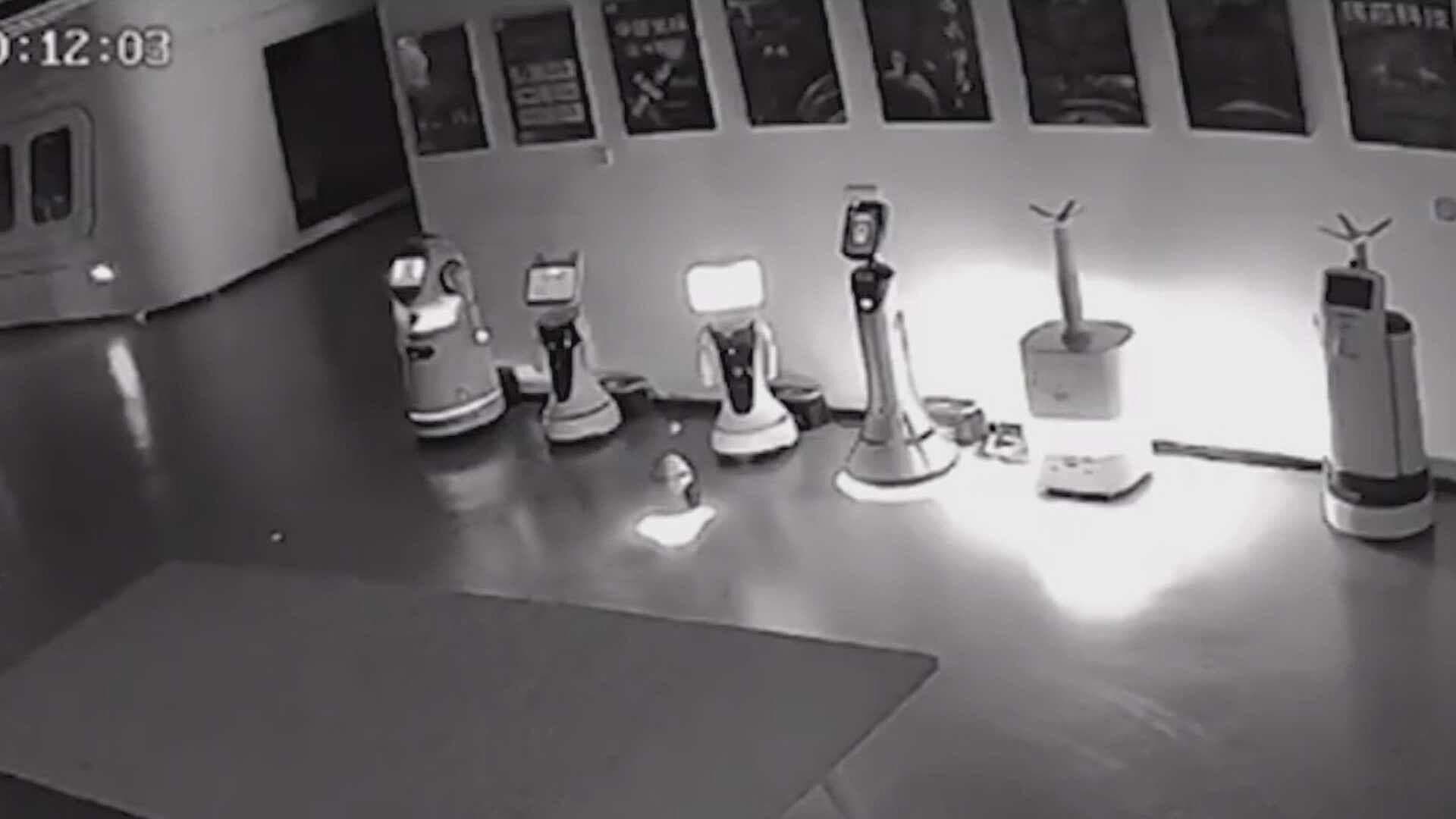 Captan a Robots "Platicando" en Exposición de Shangái