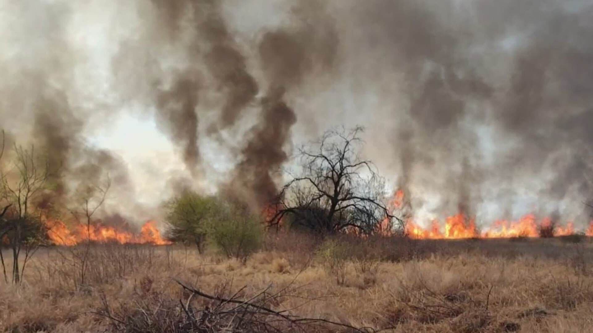 Moviliza Incendio en Campo del Instituto Tecnológico en Linares, Nuevo León