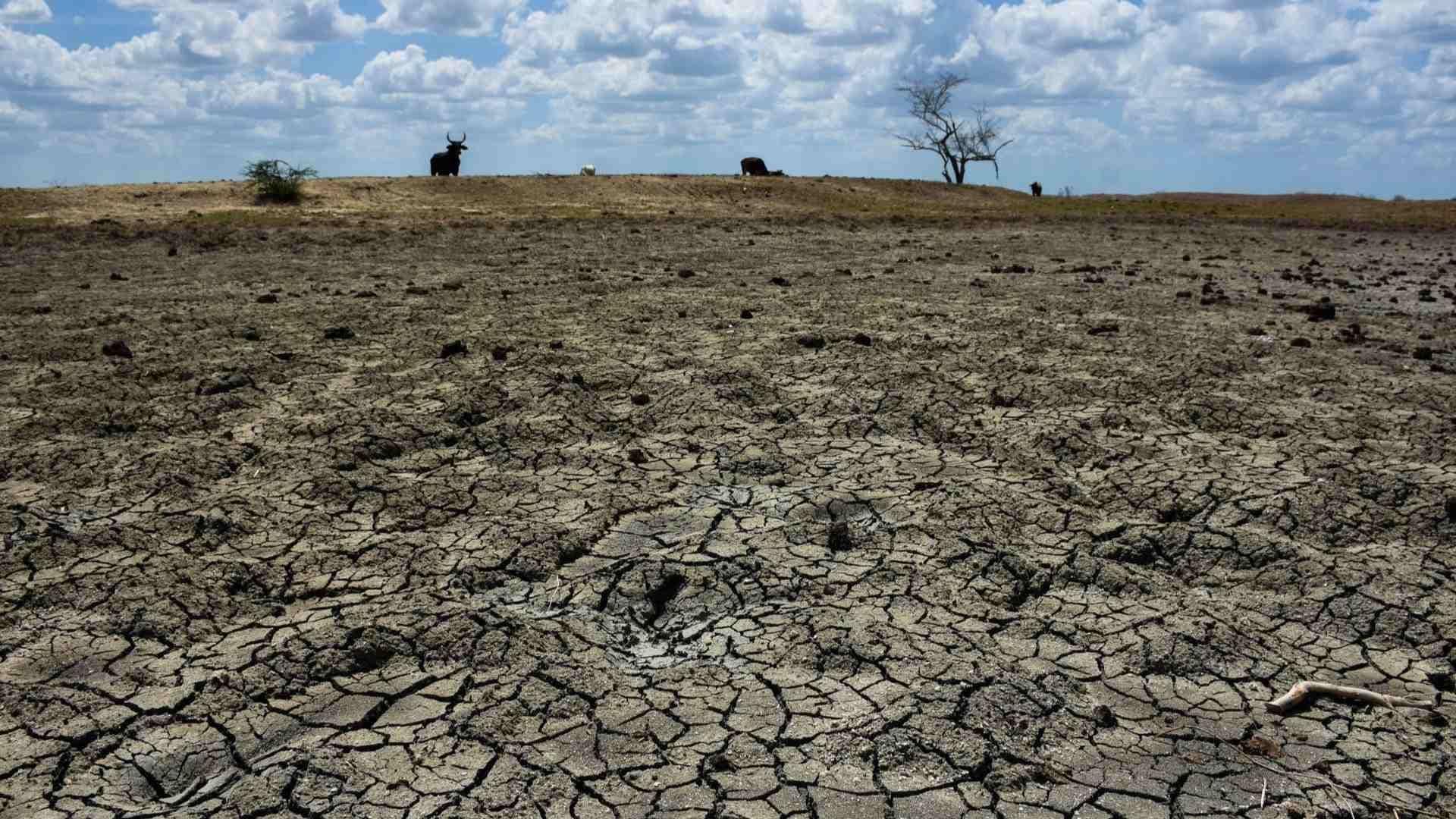 Así Luce la República Mexicana tras Intensa Sequía