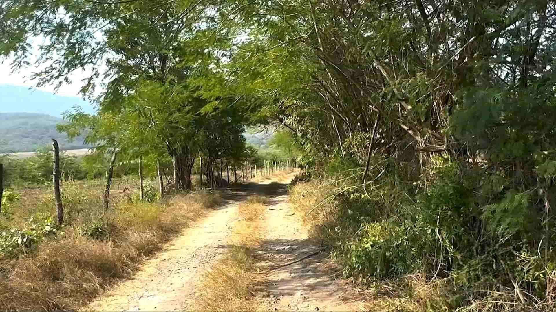 Así Es el Campamento de Entrenamiento Desmantelado por la Defensa en Ixtlahuacán, en Colima