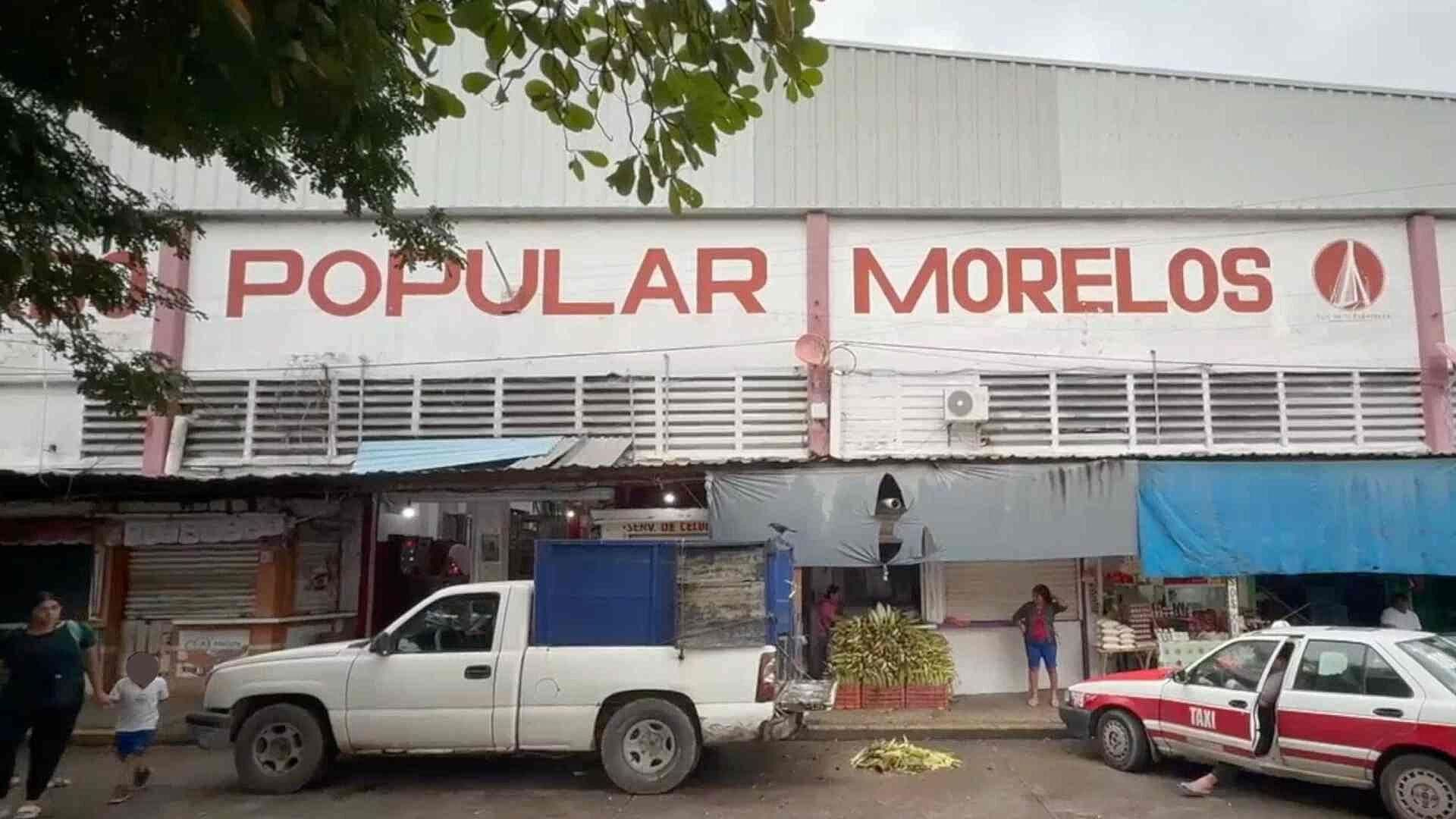 Reportan Presunto Envenenamiento de Gatos en Mercado Morelos de Coatzacoalcos