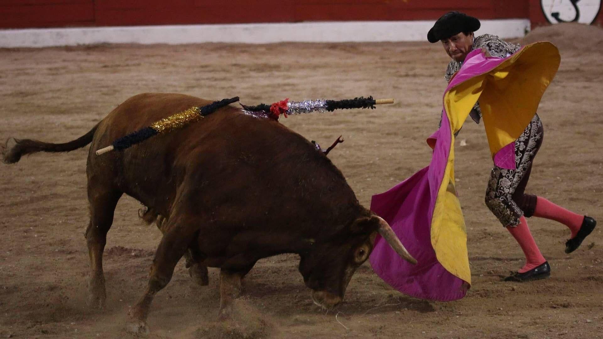 FOTO: SCJN Invalida Reglamento que Prohibía Espectáculos con Animales