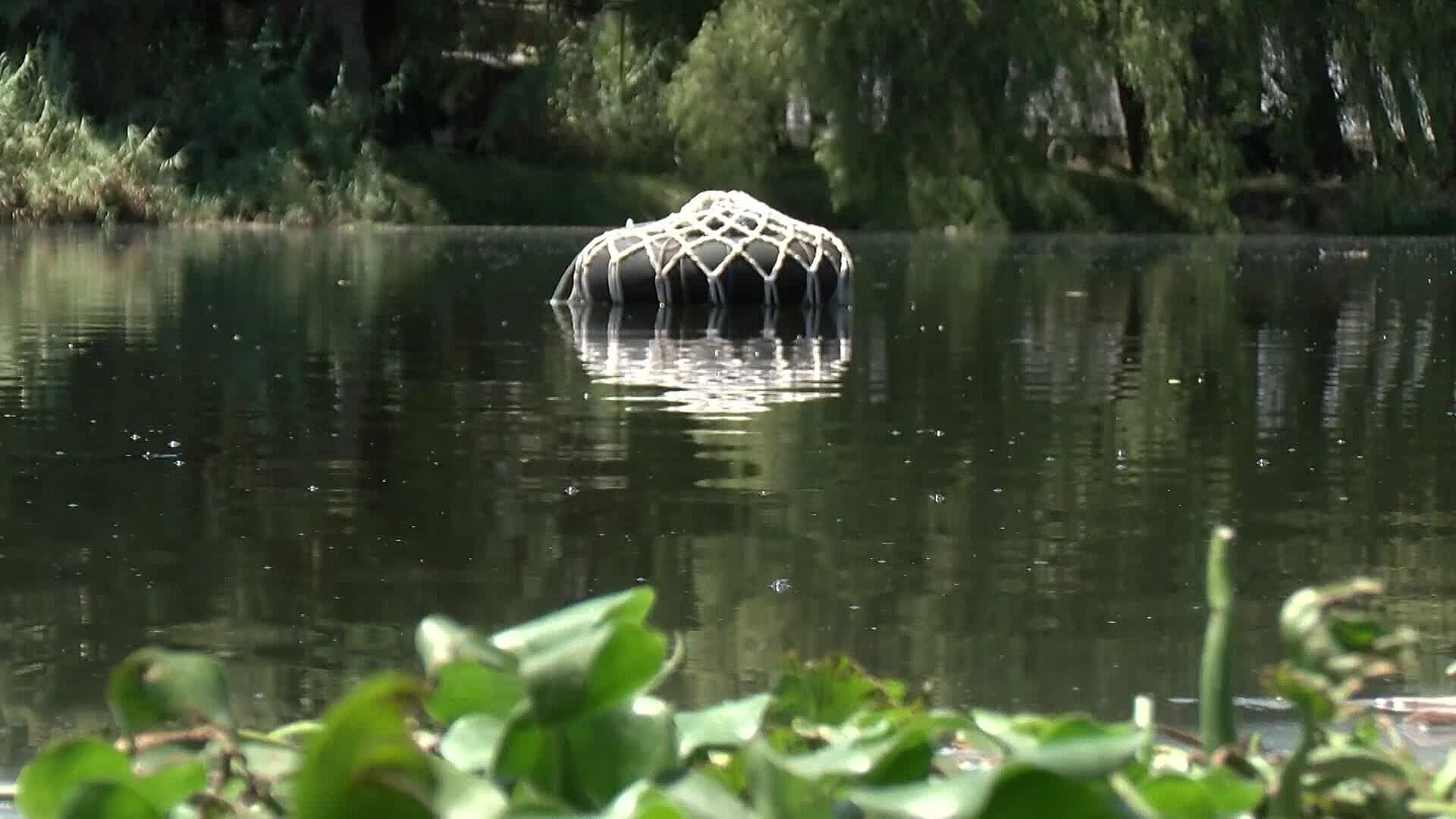Revelan Resultados Positivos Tras uso de Medusa en el Río Santiago