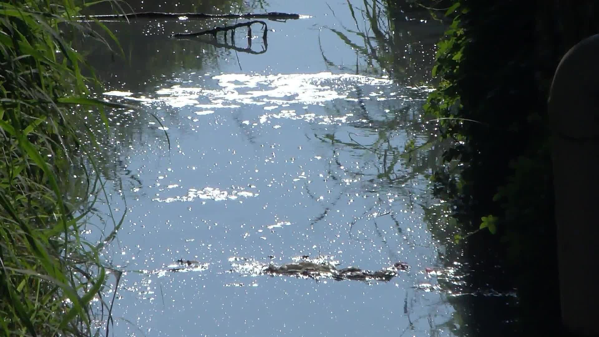 Habitantes de Tololotlán Sufren Contaminación del Río Santiago y del Exvertedero Los Laureles