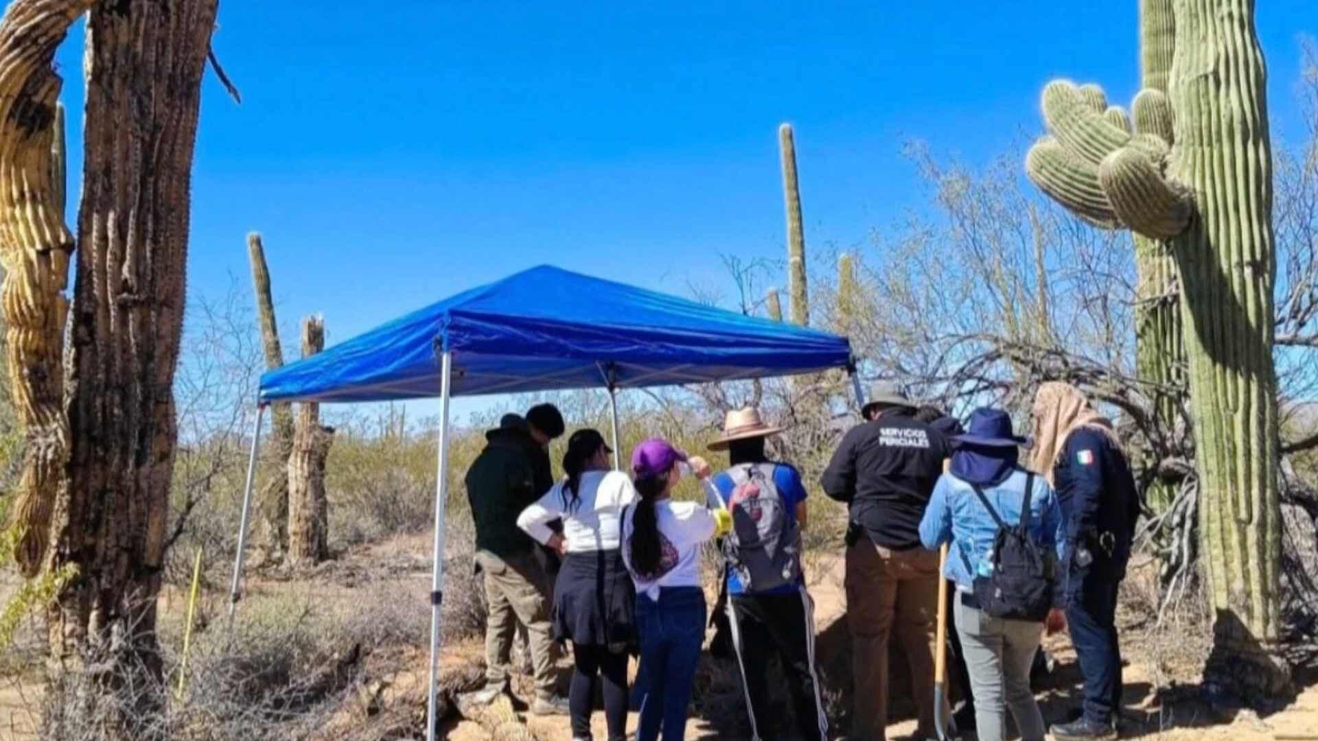 Colectivo de Búsqueda Localizan Fosas Clandestinas en Sonoyta, Sonora