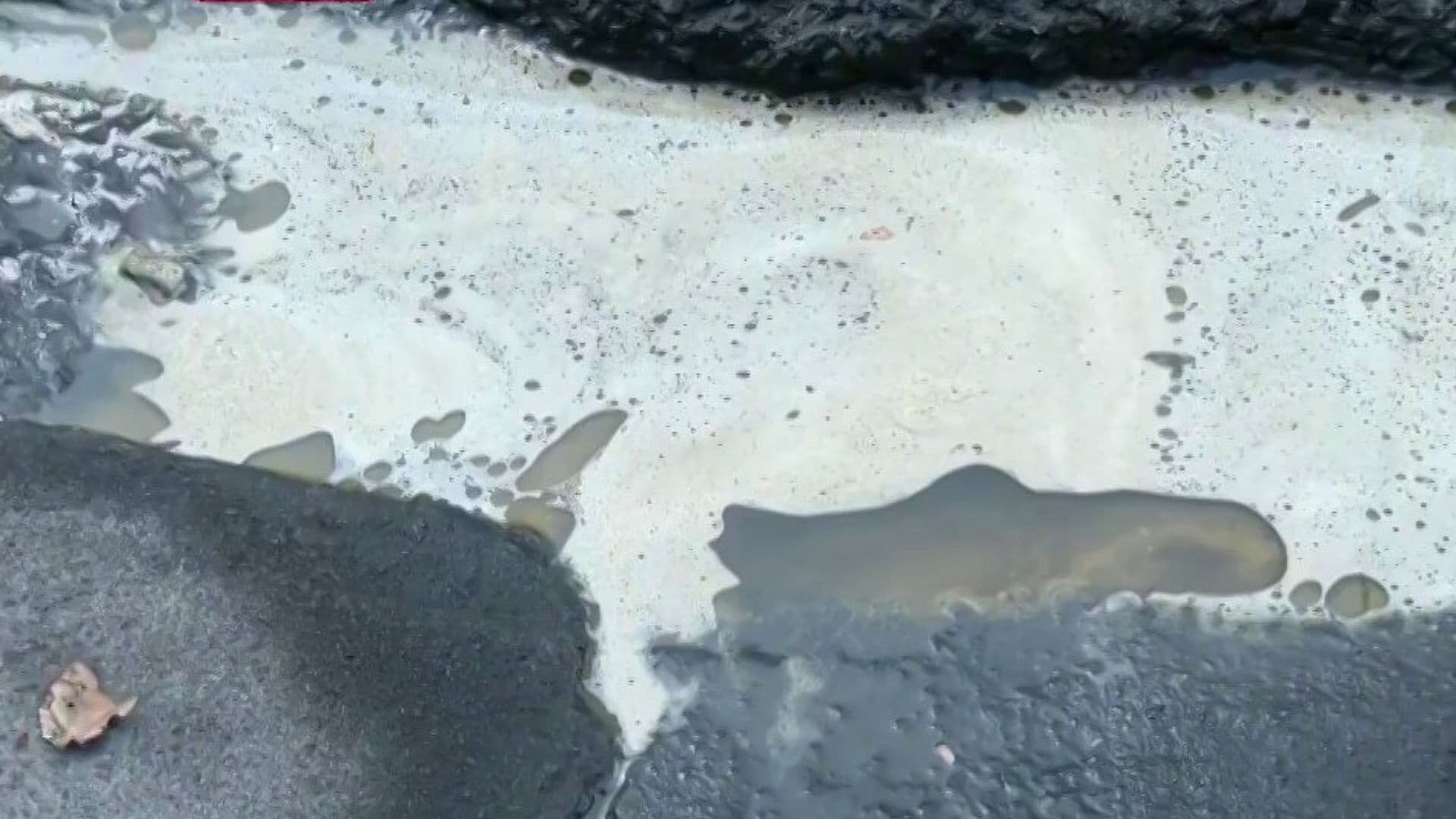 Suspenden Fábrica en Iztacalco tras Derrame de Cinco Mil Litros de Aceite