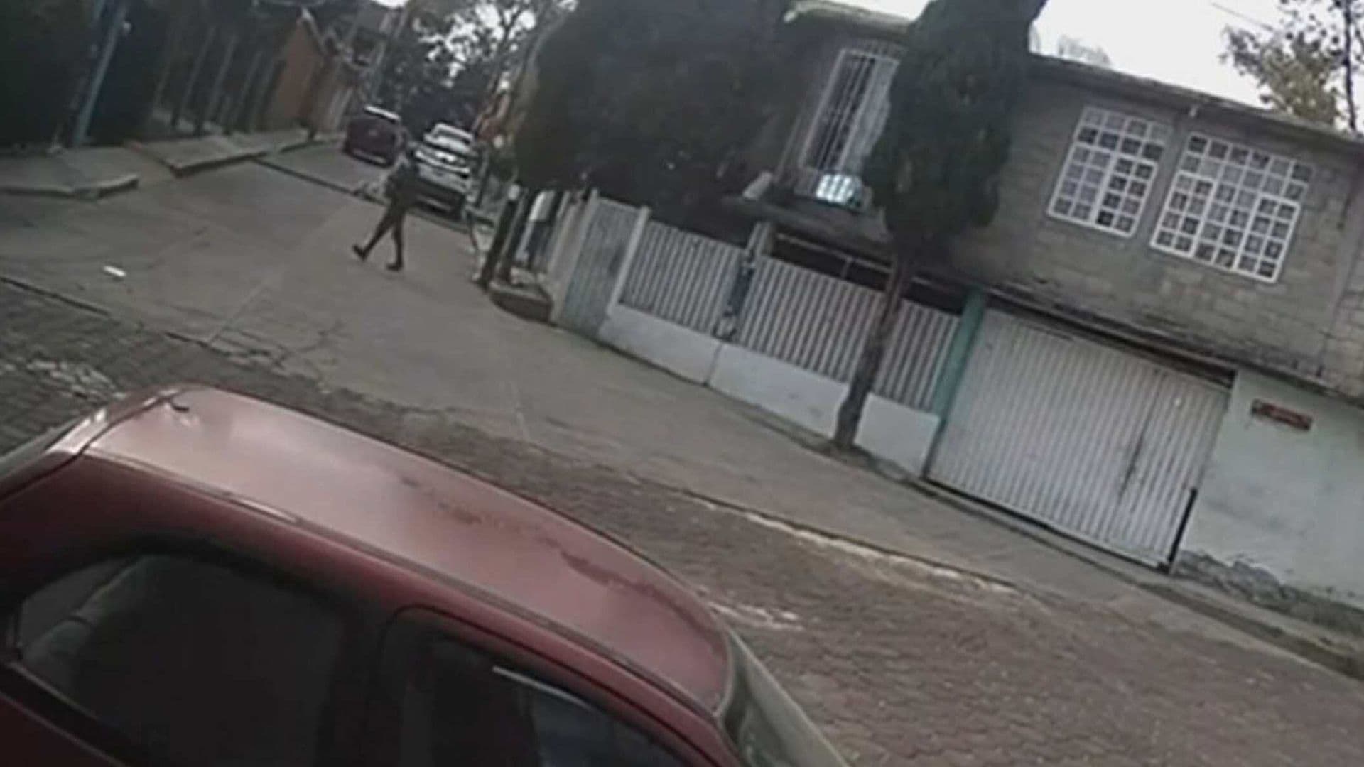VIDEO: Sujeto Huye tras Prender Fuego a un Árbol en Cuautitlán Izcalli, Edomex