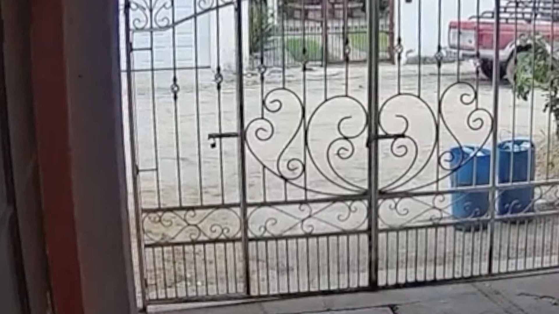 Captan Momento del Robo a Tesorera de la Primaria Gaspar Barrientos en Ciudad Madero