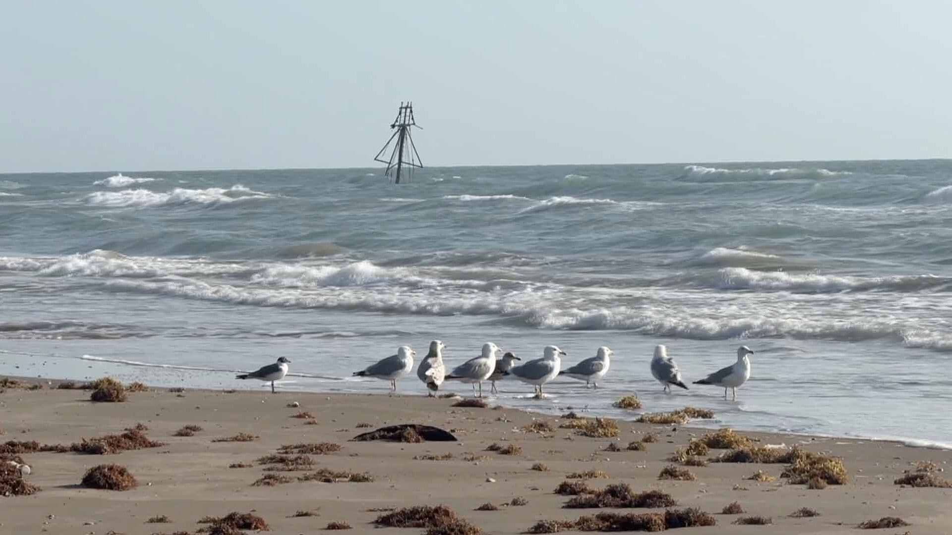 Autoridades Descartan de Momento la Presencia de Hidrocarburo en Playa Bagdad
