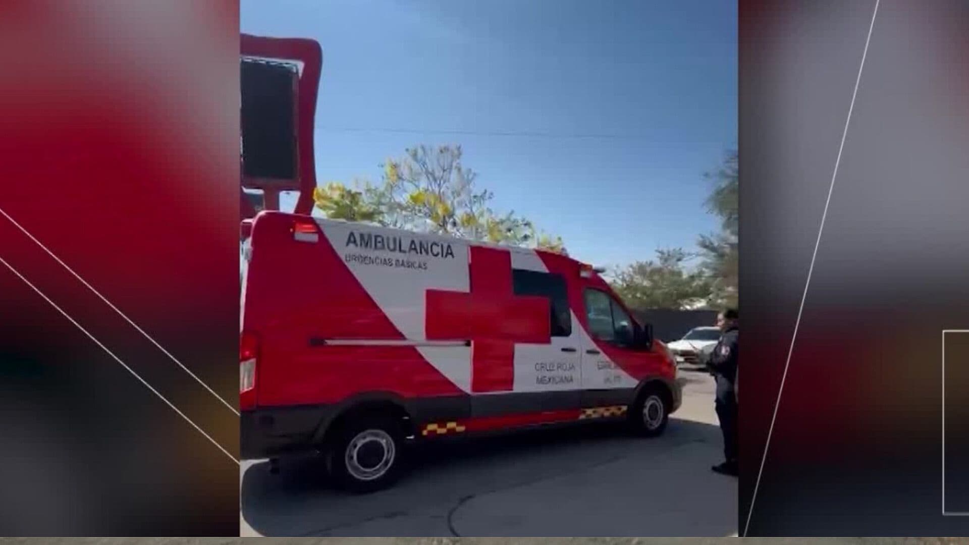 Veterinario Ayuda a Madre a Dar a Luz Sobre Periférico en Tlaquepaque
