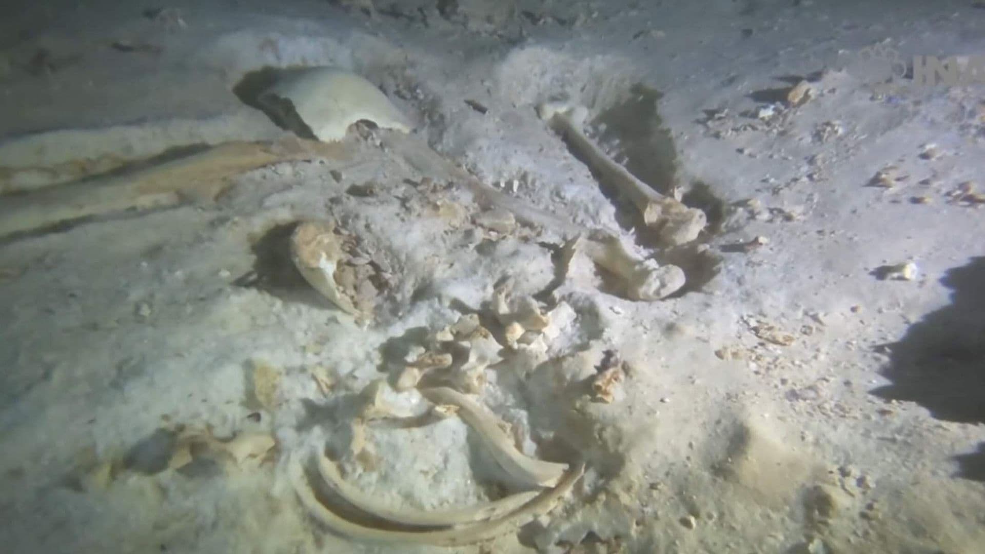 INAH Realiza Investigaciones de Arqueología Subacuática por Hallazgo de Restos con 10 Mil Años de Antigüedad