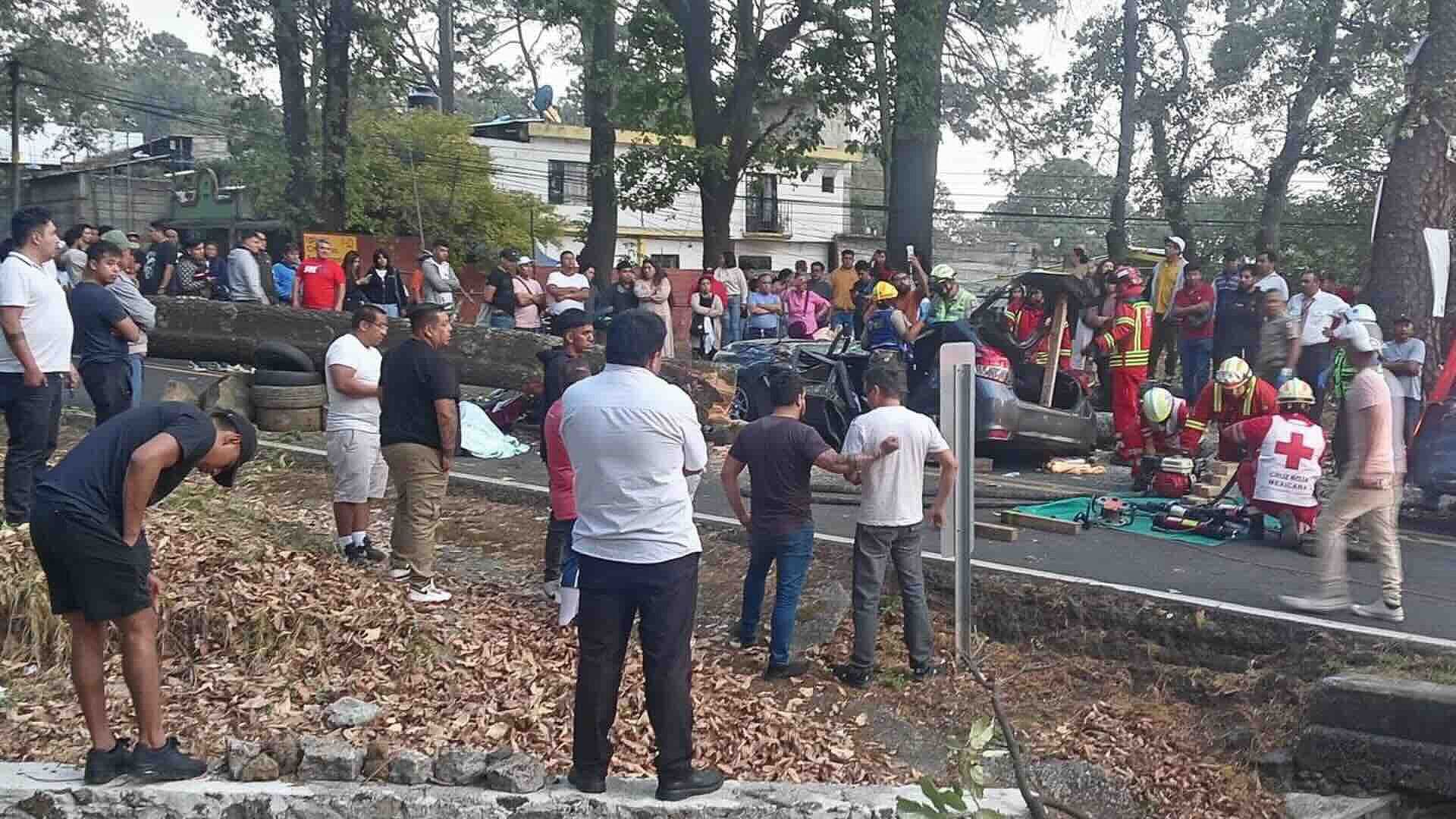 Tres Muertos Tras Caída de Árbol sobre Auto en Carretera Federal México-Cuernavaca