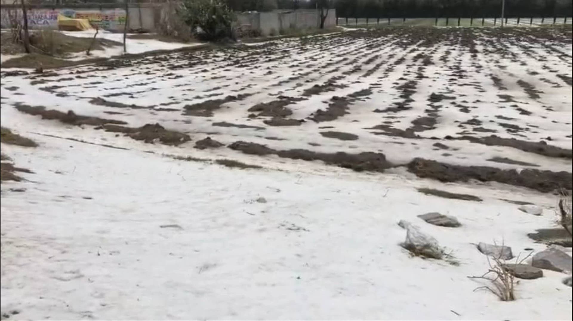Fuerte Granizada en Puebla: Tepeaca, Acatzingo y Acajete Quedan Bajo el Hielo este Lunes