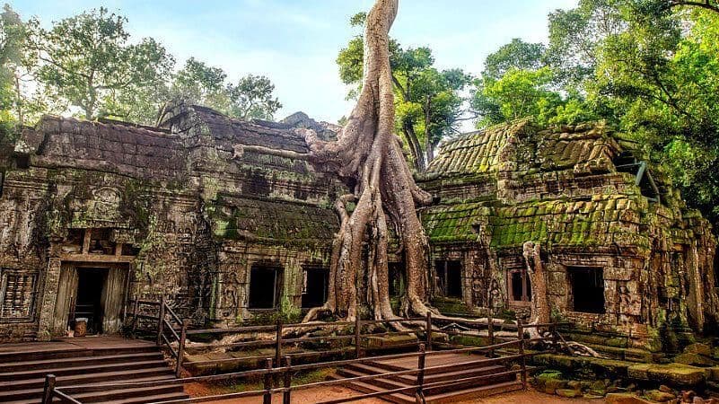 Ta Prohm, un Templo Abrazado por la Naturaleza en Camboya
