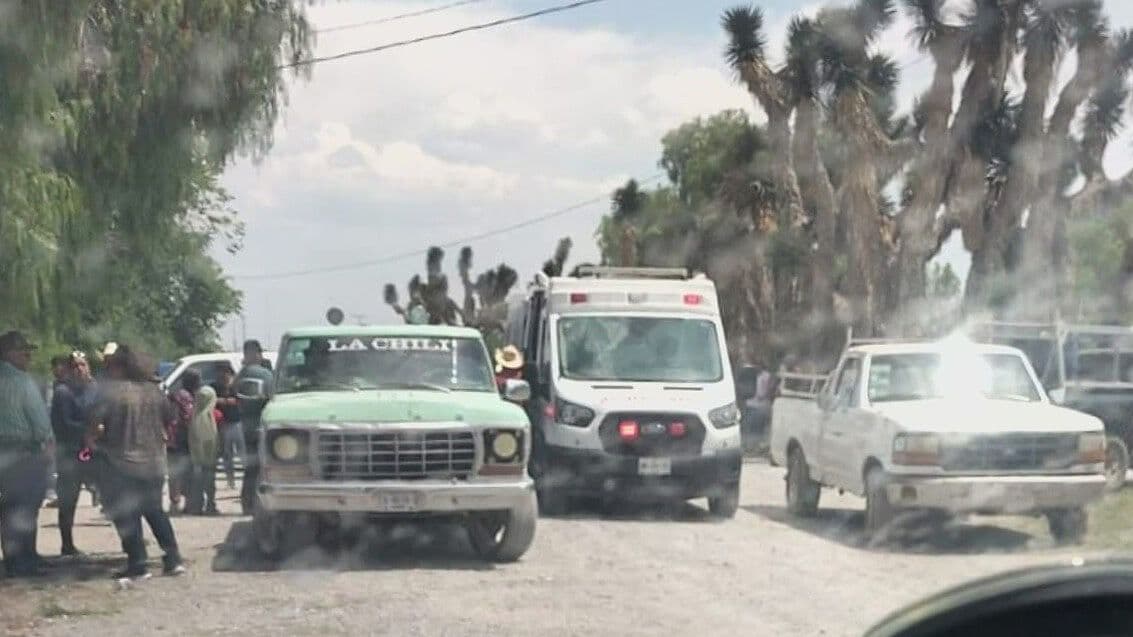 Deja Ataque de Abejas un Hombre Grave y 10 Lesionados en Galeana