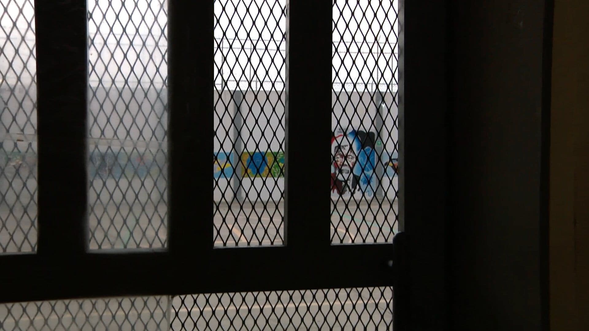 1777557037842-snapshot.jpg