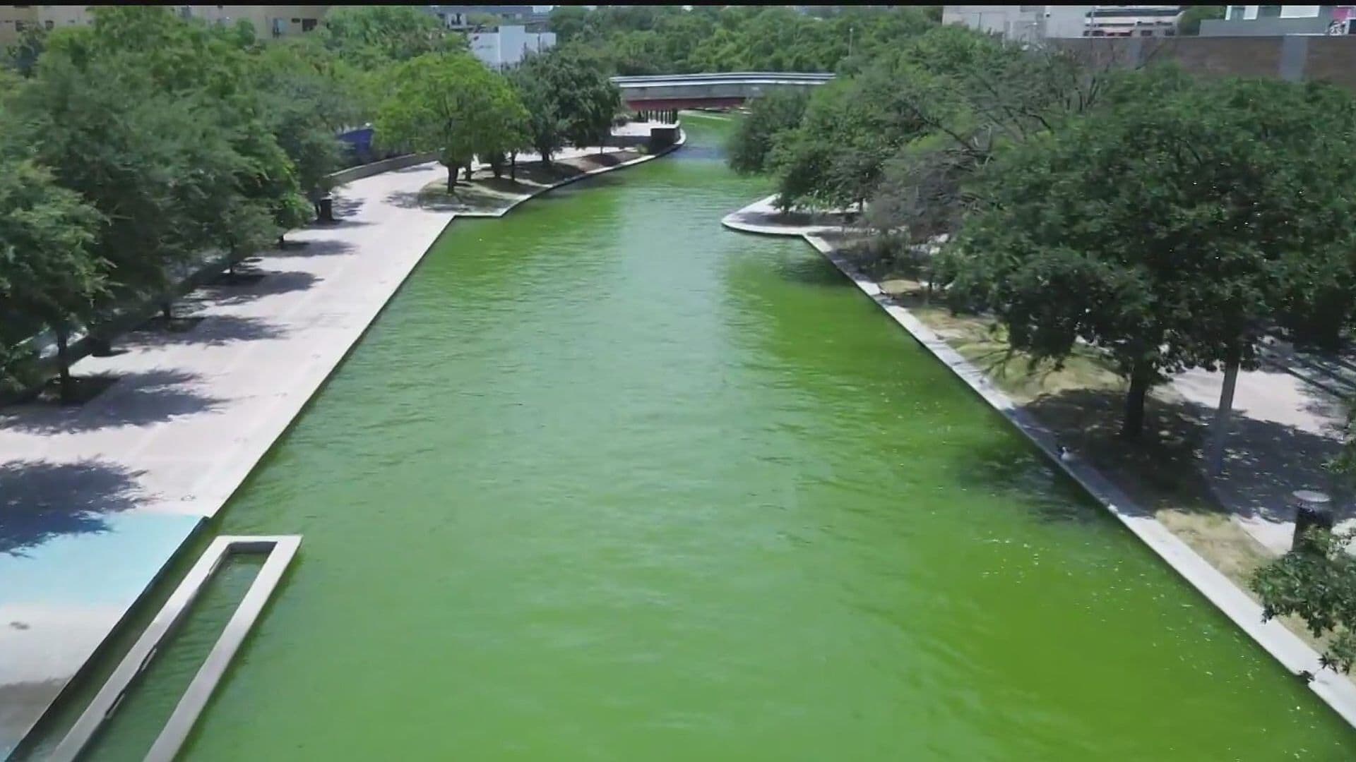 Sorprende Mal Aspecto de Paseo Santa Lucía a Visitantes de Monterrey; Se Puso Verde