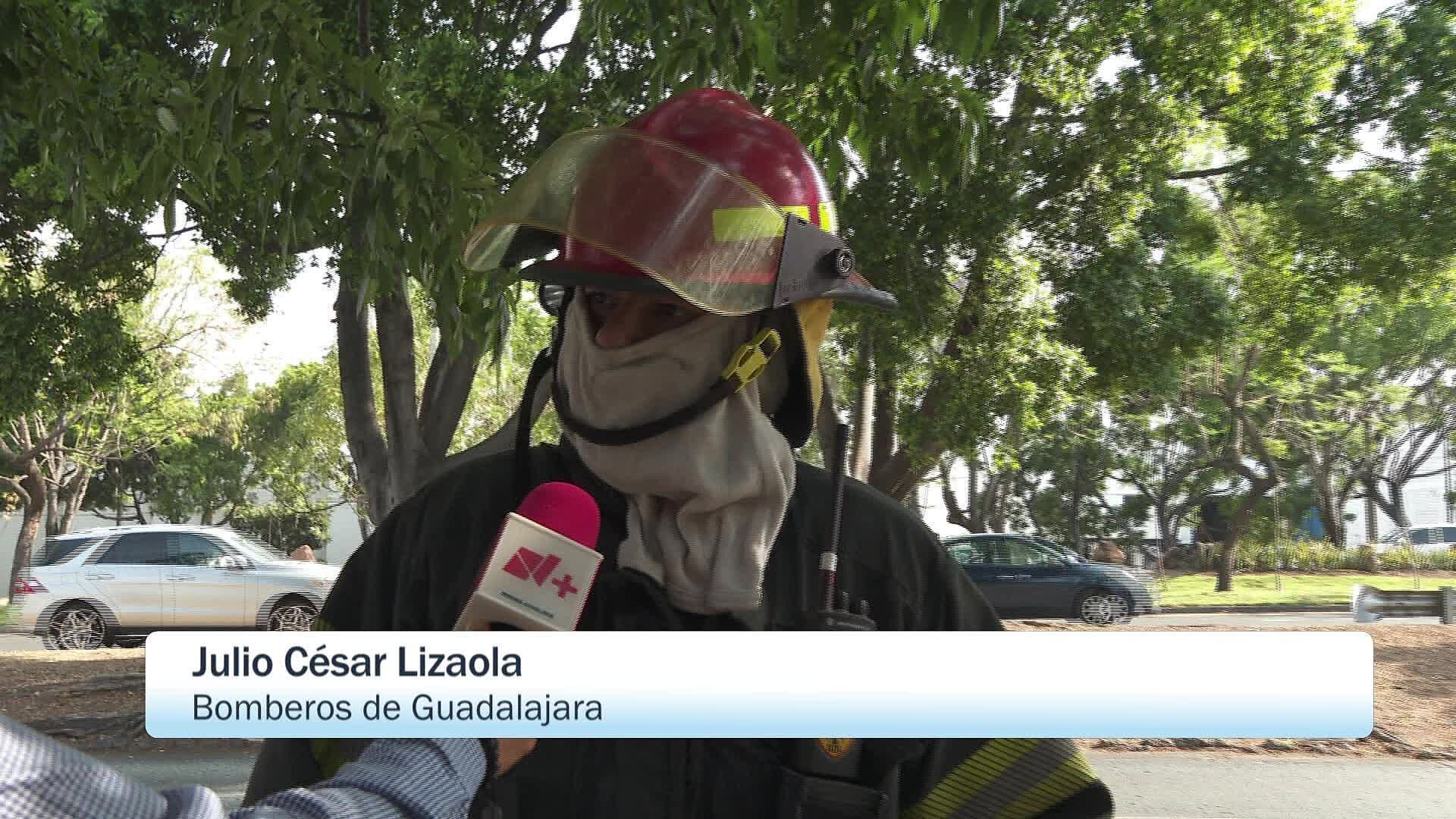 Abejas Atacan a Estudiante y Taxista en Guadalajara