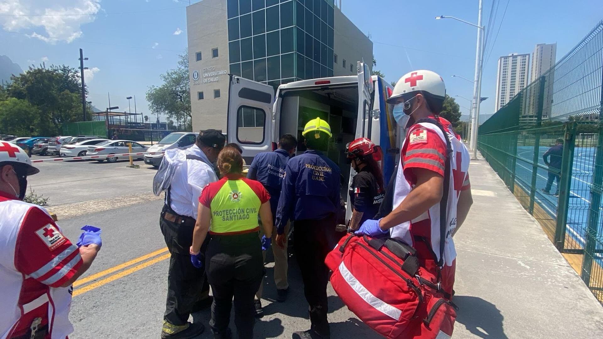 Reportan un Muerto y Dos Heridos tras Ataque de Abejas en Santiago Nuevo León