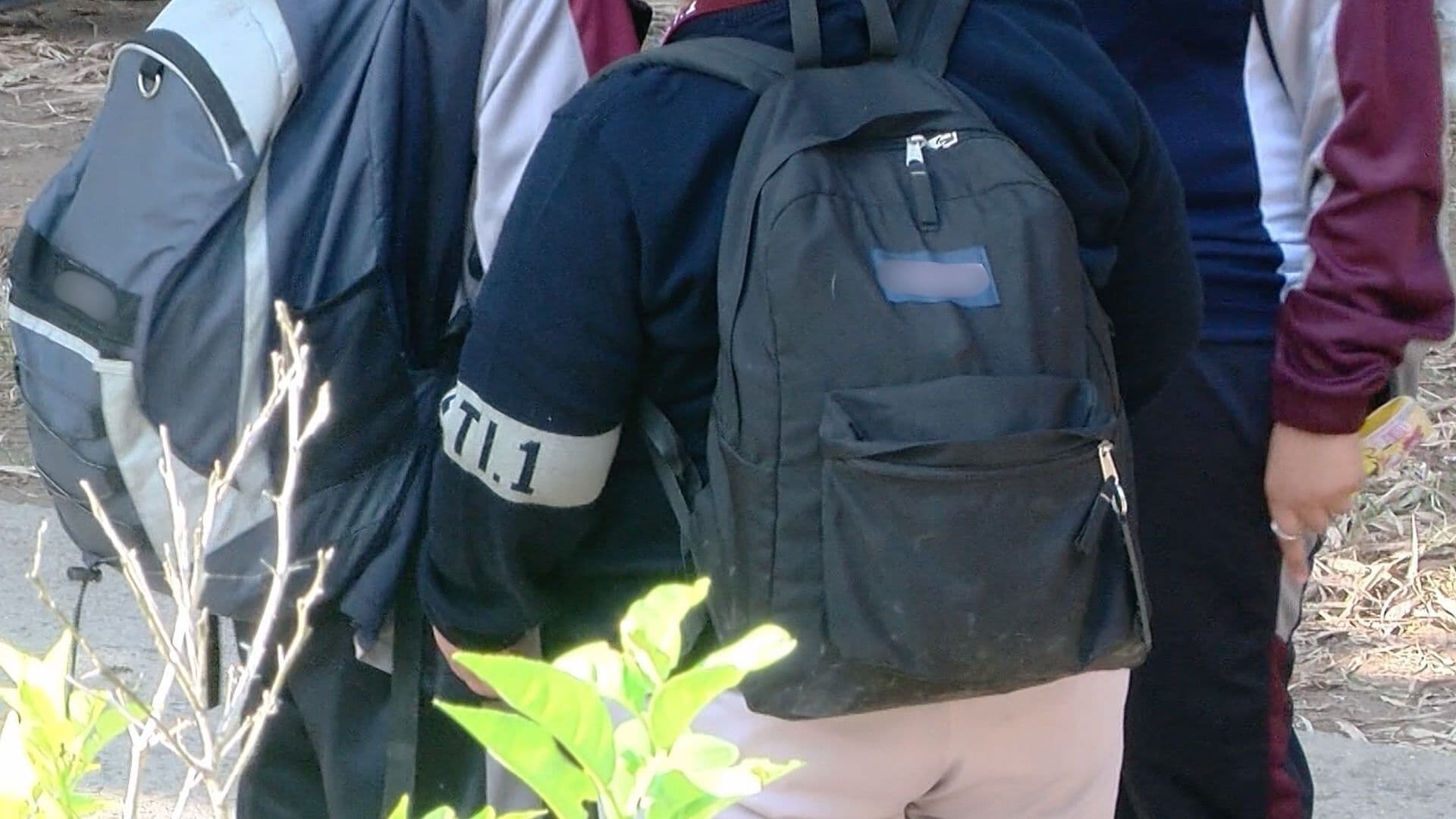 Detectan Perdida de Autoridades en Maestros en Escuelas de Tijuana