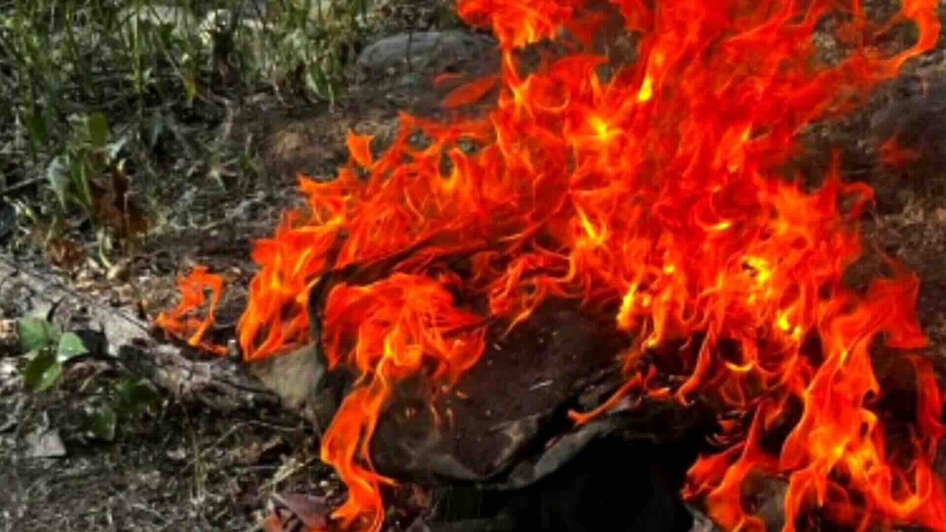 Decomisaron y Destruyeron Más de 100 Explosivos en Badiraguato, Sinaloa