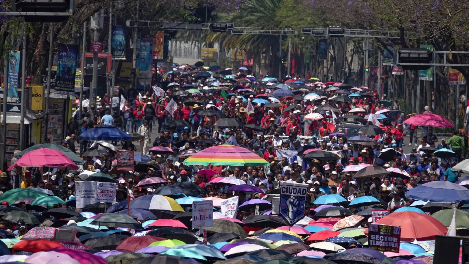 Marcha de Maestros de la CNTE Mañana 25 de Mayo en CDMX: Bloqueos y Alternativas Viales