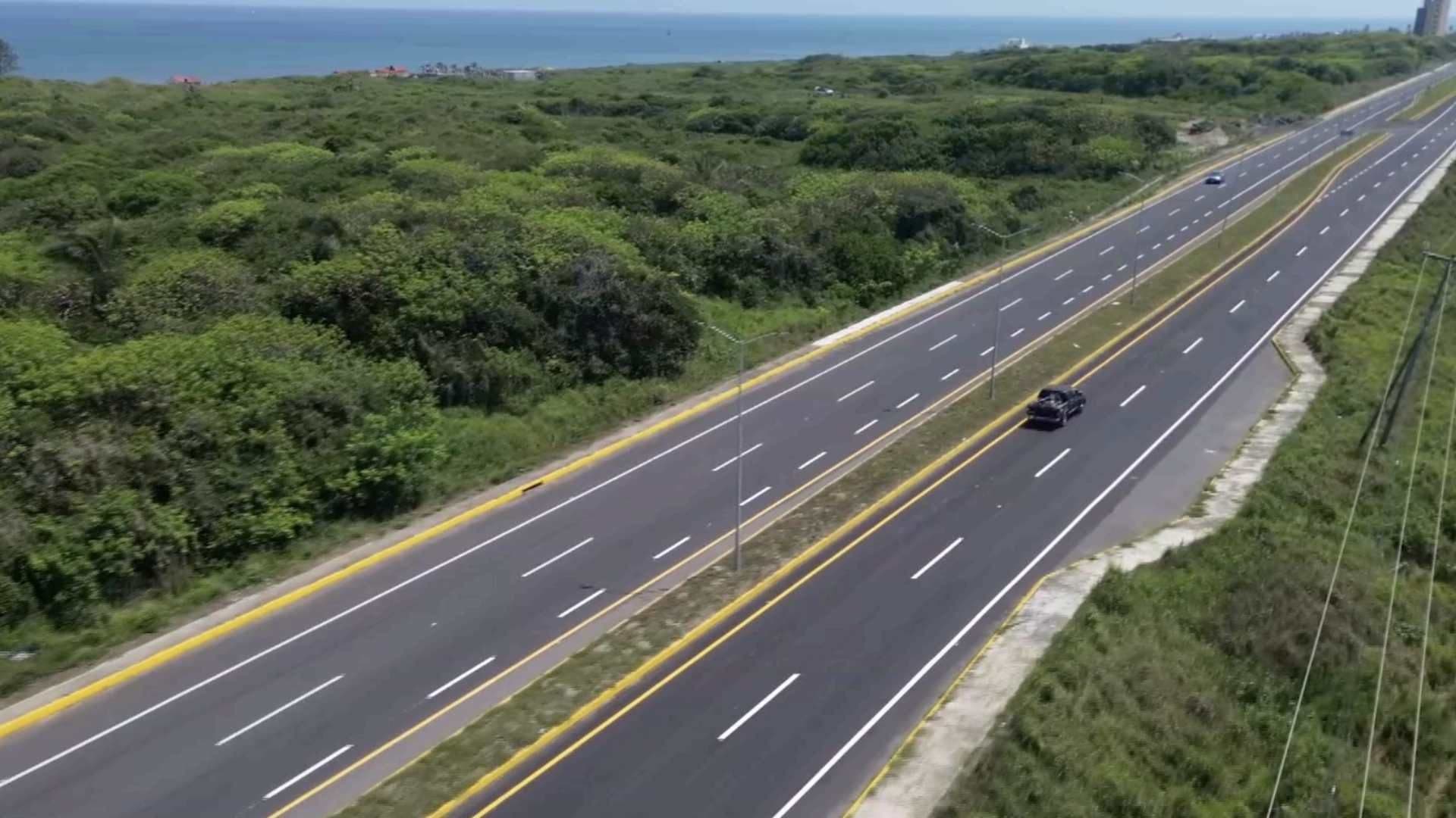 Animales Continúan Muriendo Arrollados en Carretera de la Riviera Veracruzana