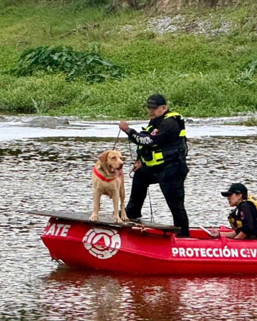 Operativo de búsqueda en río
