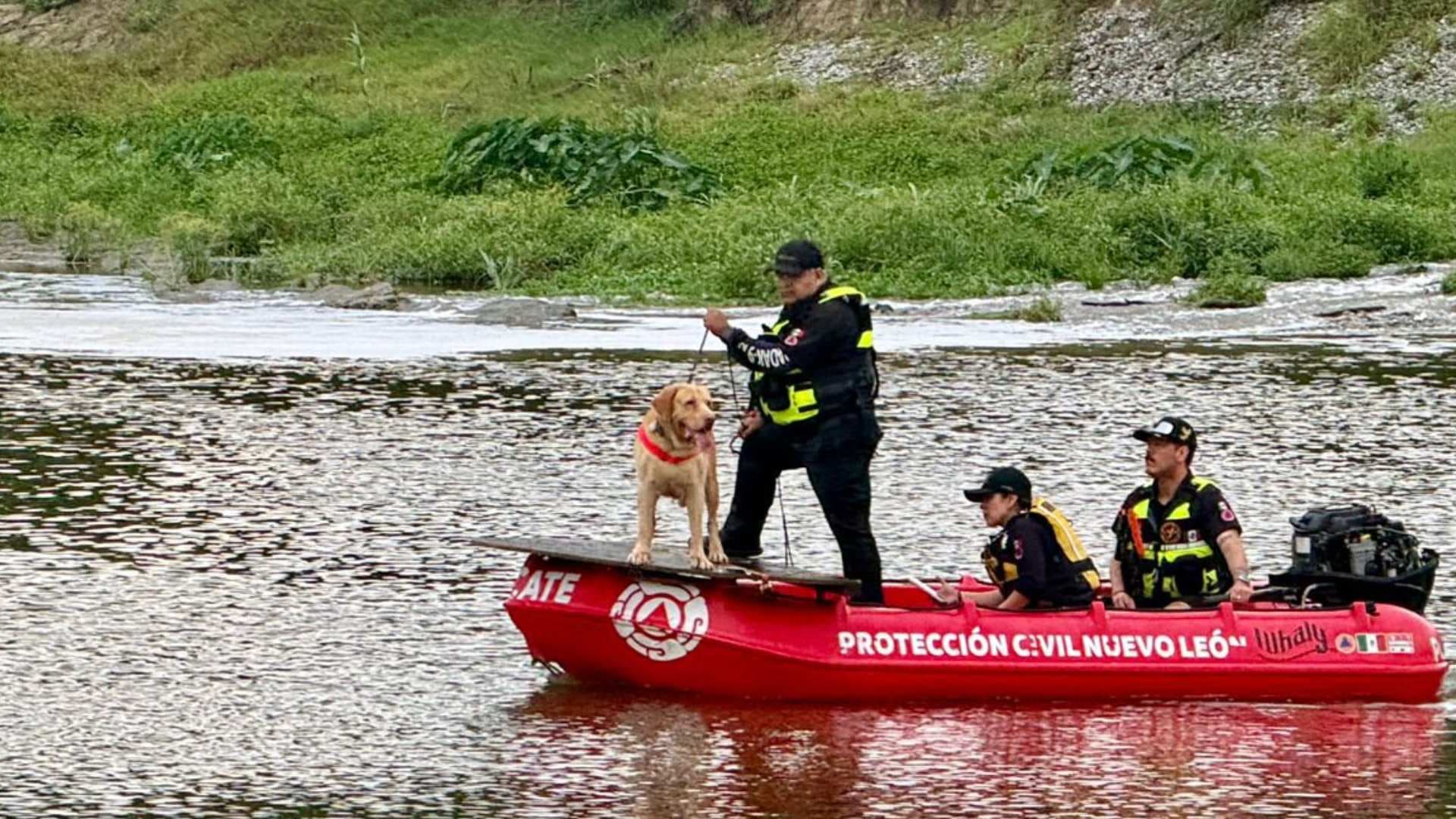 Activan Operativo de Búsqueda tras Reporte de Persona Desaparecida en Río en Cadereyta, NL