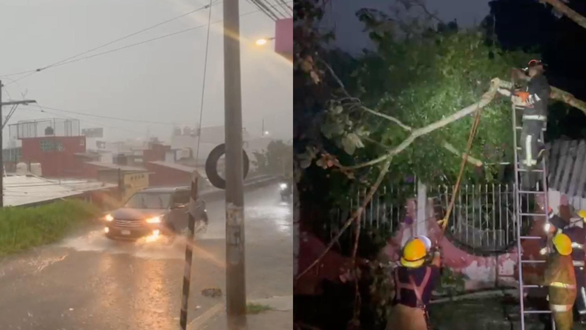 Tormenta Eléctrica Deja Afectaciones en Xalapa; Reportan Caída de Árboles