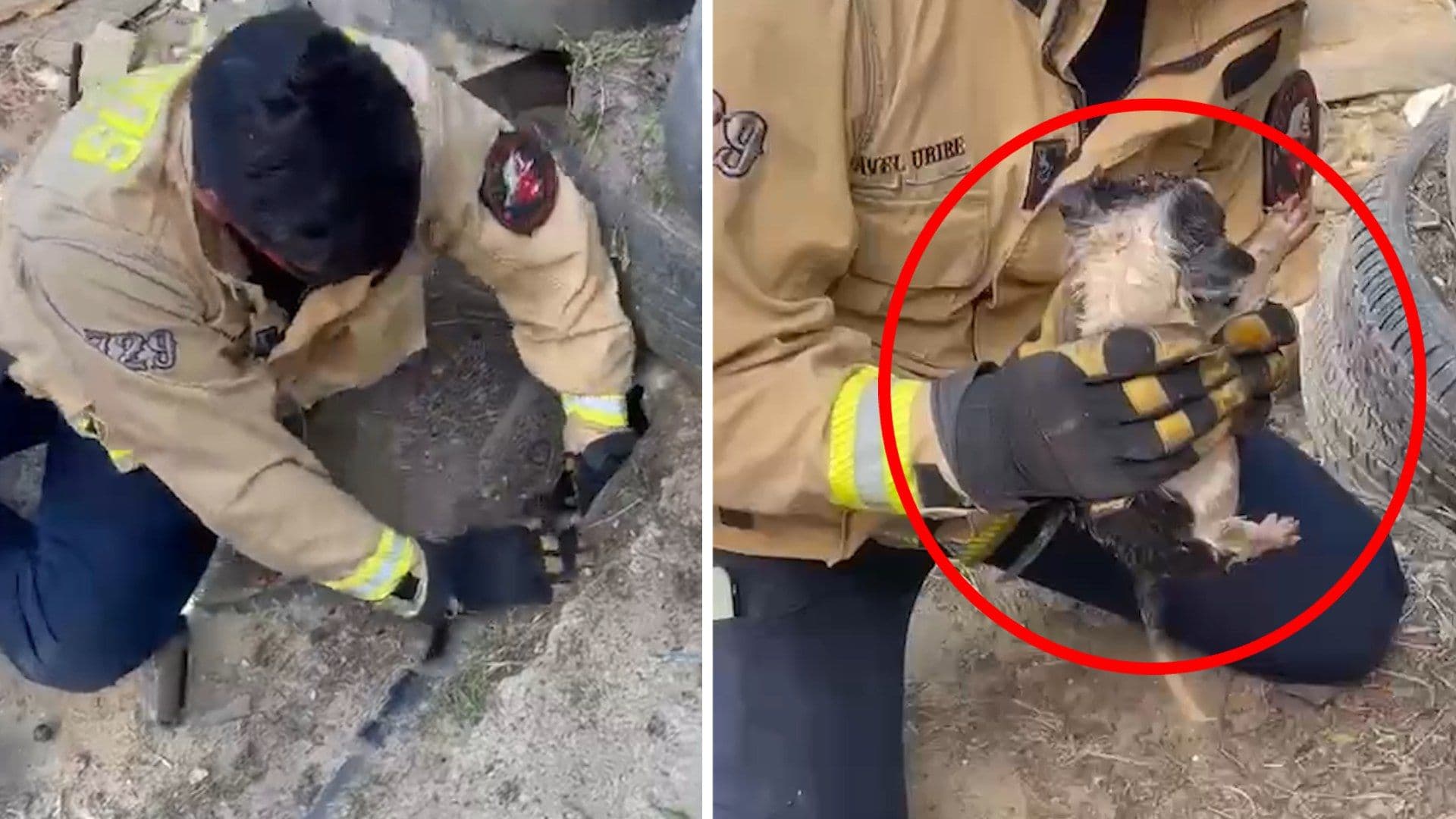 Bomberos Rescatan a Cachorro Atrapado en Tubería en Tijuana