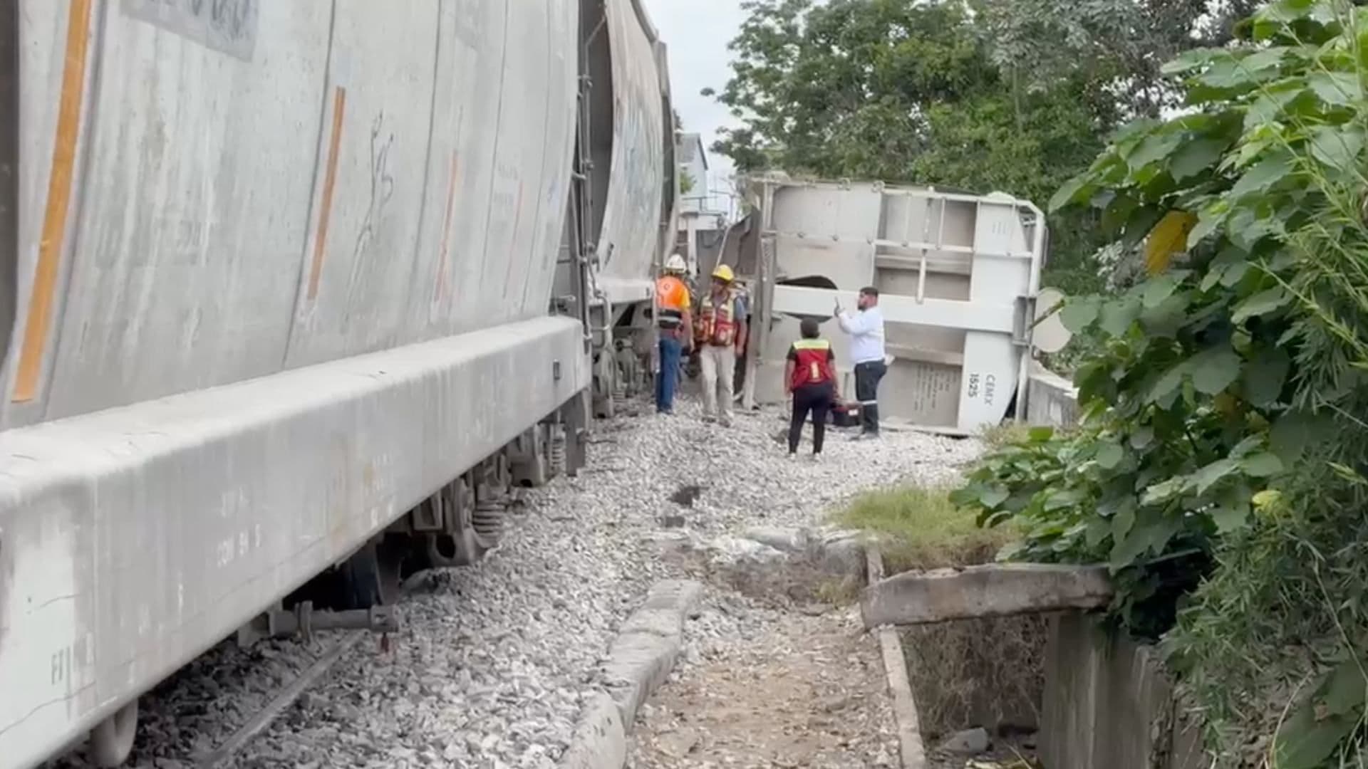 Descarrila tren