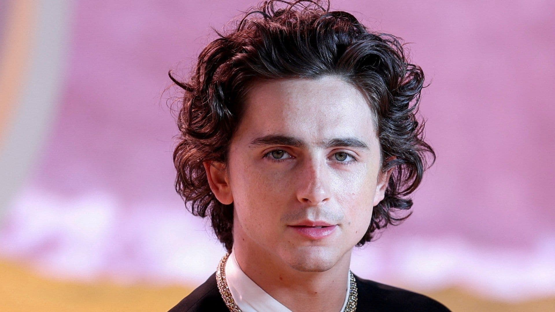 Timothée Chalamet 'Se Convierte' en Bob Dylan para Película del Músico y Nobel de Literatura